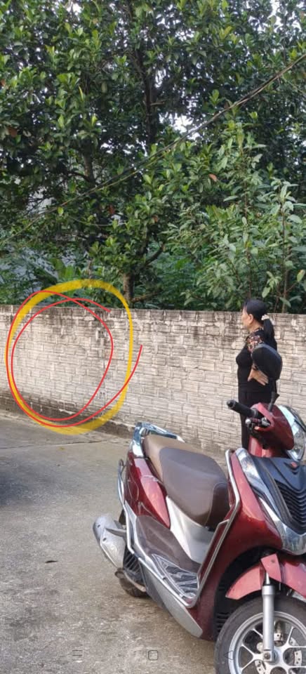 Đất Thanh Liêm, Hà Nam - Chỉ vài trăm triệu sở hữu ngay lô 70m2, gần chợ, trường, bệnh viện