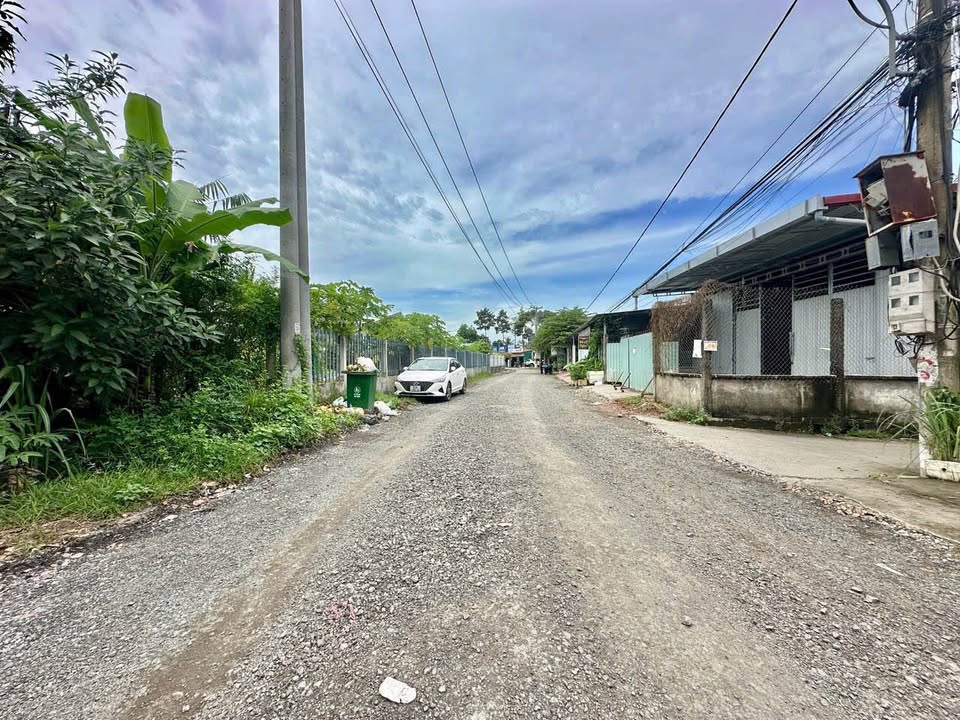 Bán đất nghỉ dưỡng 767.4m² mặt tiền đường ĐH91, Mỹ Tho - Tiềm năng homestay, nhà vườn