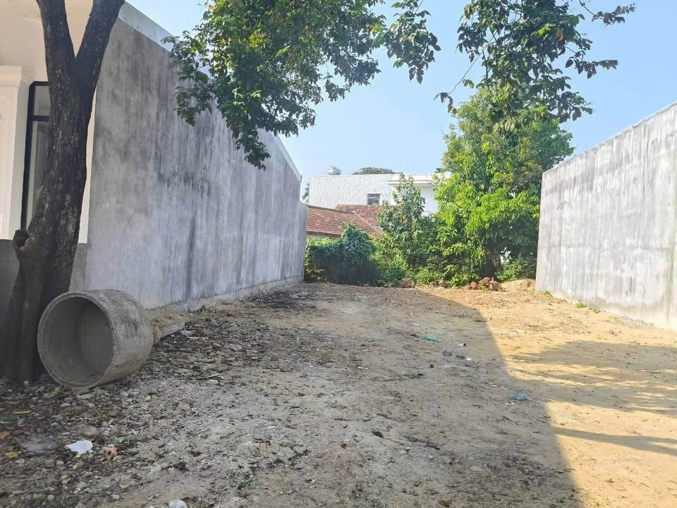 Đất vàng Nguyễn Văn Linh, 242m2, giá 1.2 tỷ - Tặng kèm cây khế 'vạn người mê'