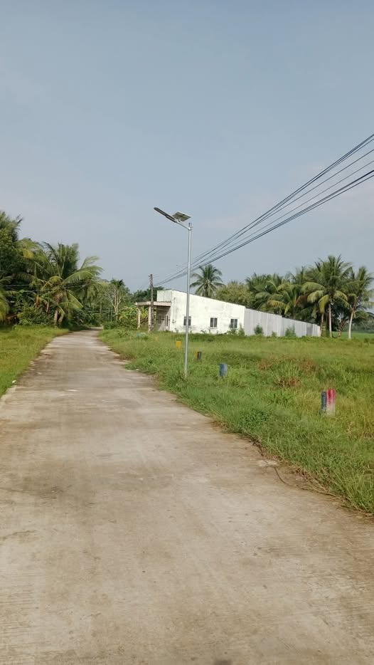 Đất nền lộ đan, ô tô quay đầu, giá chỉ 250 triệu, cơ hội đầu tư không thể bỏ lỡ