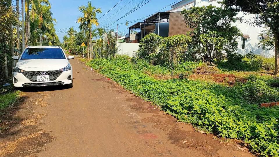 Đất hẻm Nguyễn Xuân Nguyên giá yêu thương, gần bến xe, bệnh viện