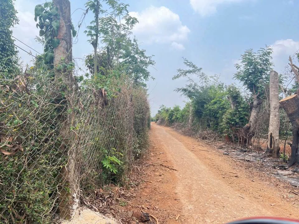 Đất 2 sào 3 mặt tiền, có nhà vườn sẵn