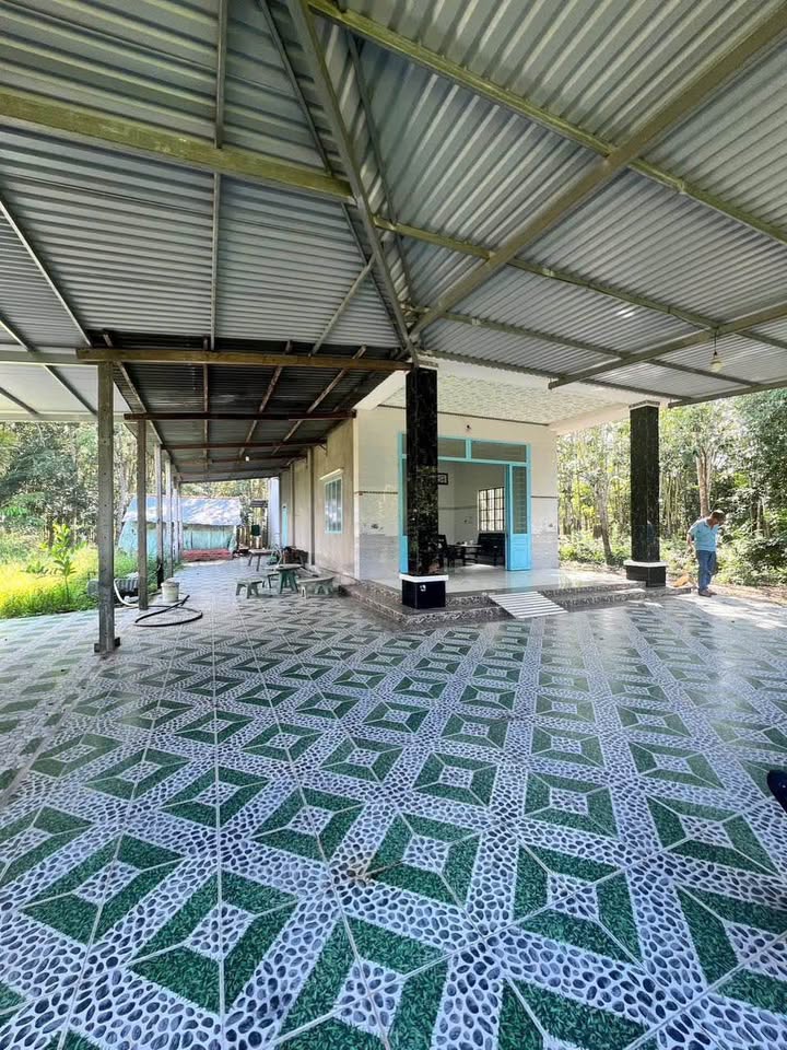 Nhà mới cấp tốc 27x19m, 135m² thổ cư, chỉ 1.2 tỷ tại Gò Dầu, Tây Ninh