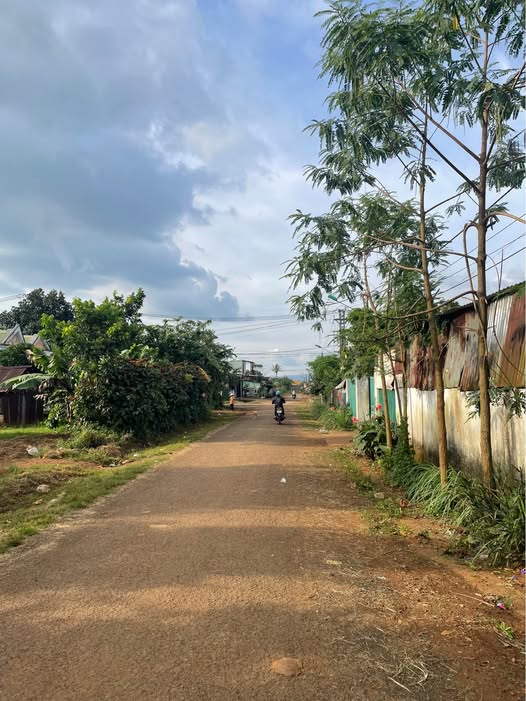 Đất vàng mặt tiền Nguyễn Bá Lại, An Phú - Cơ hội kinh doanh bứt phá