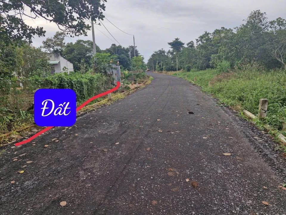 Xả lỗ sốc đất Quảng Thành 125m2, chỉ 355 triệu