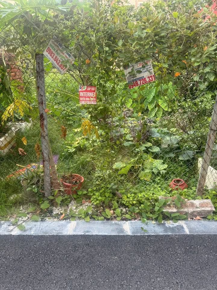 Đất dìa Phúc Thịnh vuông vắn 86m2, ngõ nhựa thông thoáng, gần trường, tiện bay