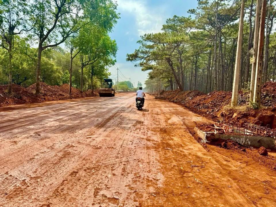 Đất hẻm 19/5 - Giá rẻ, vị trí đẹp, sổ đỏ riêng