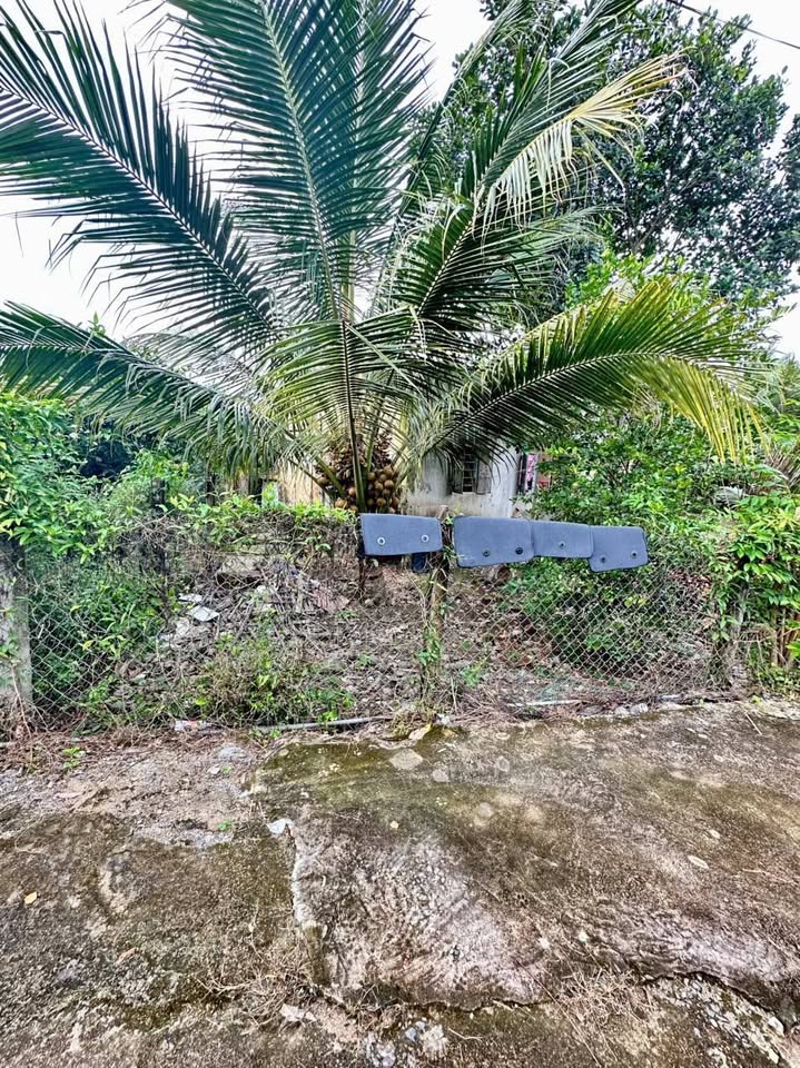 Đất Diên An, Diên Khánh 100m2 hướng Đông Nam, gần Nha Trang 8km