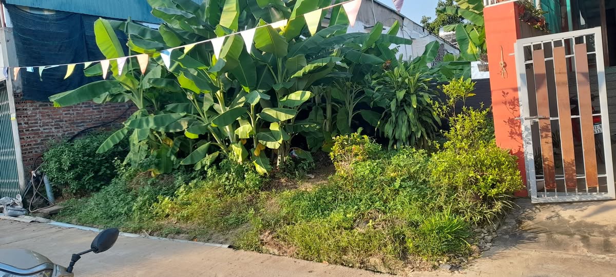 Bán đất Nông Tiến, Tuyên Quang - 210m2, mặt tiền 8m, vị trí đẹp