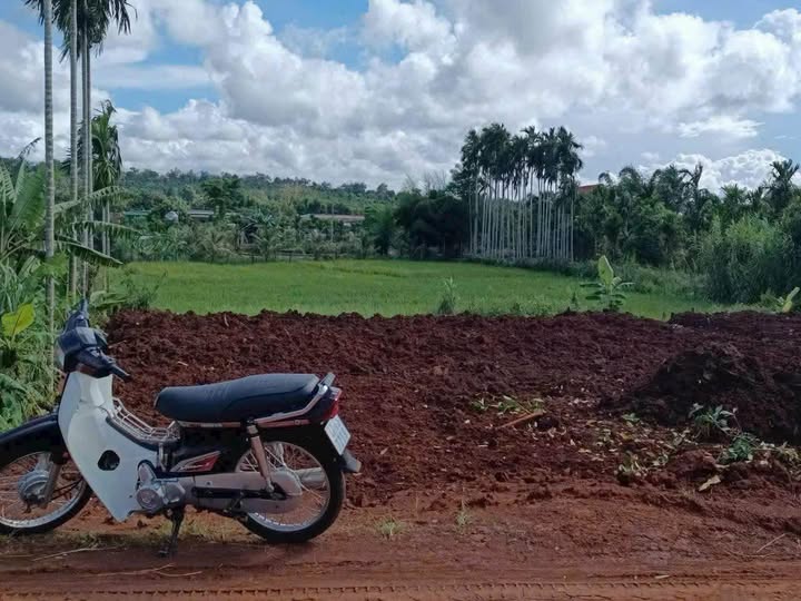 Đất thổ cư trung tâm thị trấn Quảng Phú, Đắk Lắk sổ đỏ 200m2, tặng kèm 1000m2 đất lúa