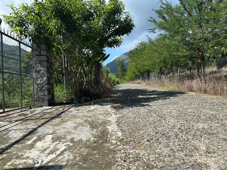 Lô đất mặt tiền đường chính, quy hoạch bờ hồ, Nha Trang