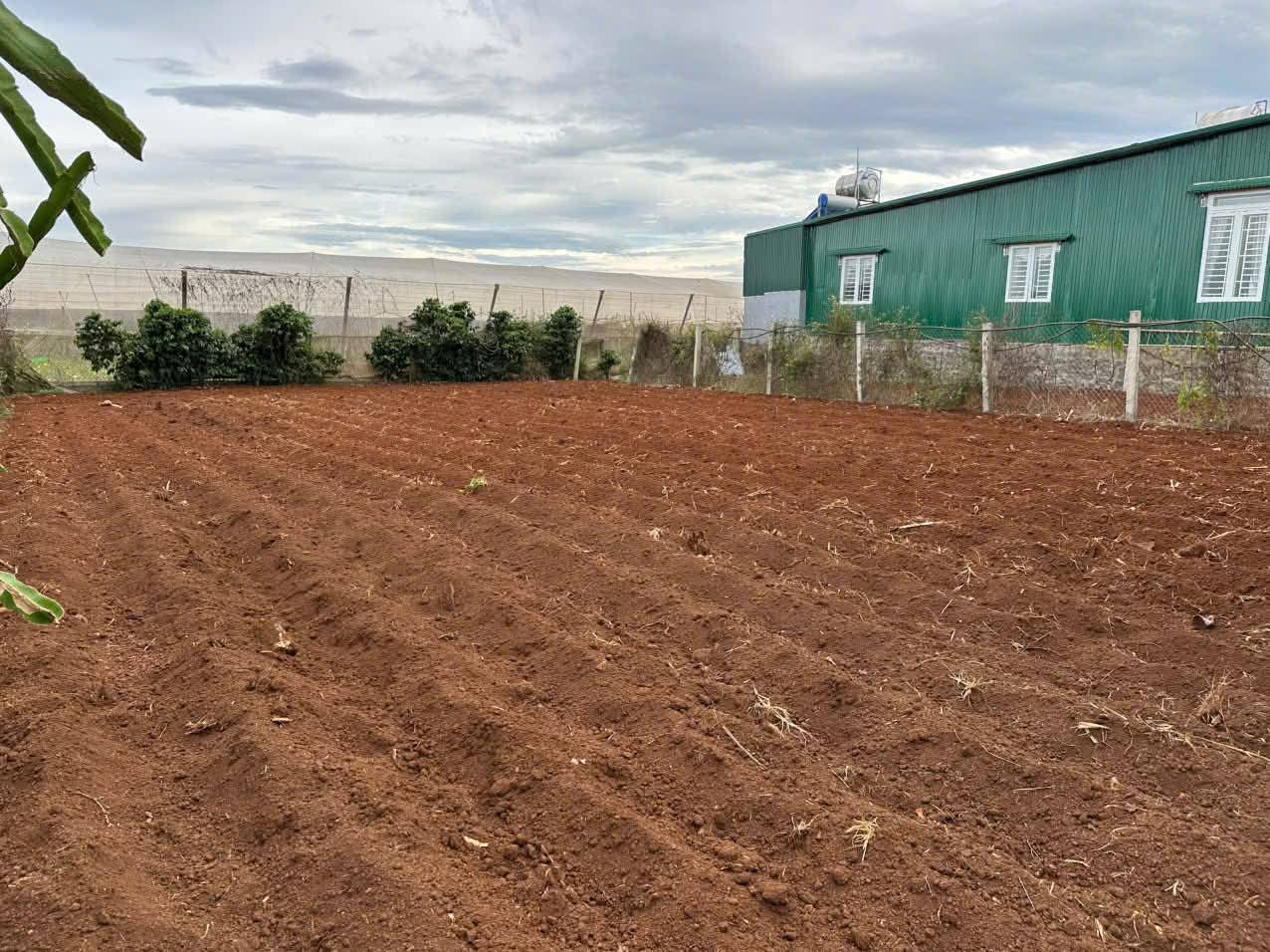 Đất vàng Suối Thông B - Cơ hội an cư tại Lâm Đồng