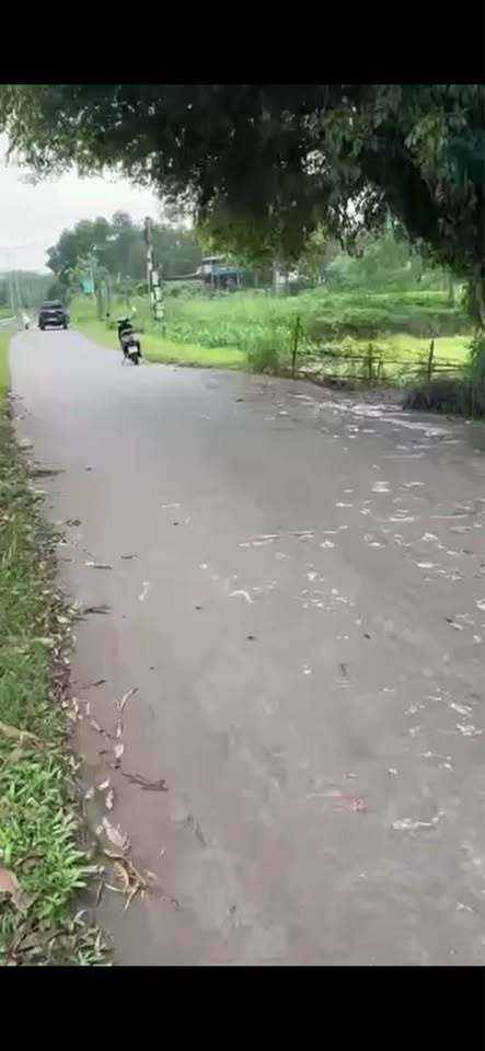 Đất view đồi 1100m² - Sở hữu resort riêng chỉ hơn 2 tỷ, cách trung tâm 25 phút