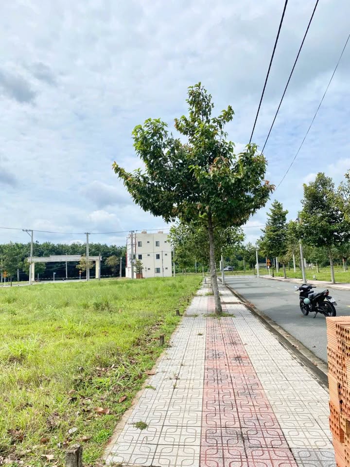 Bán đất thổ cư 75m2 sổ sẵn, giá tốt tại Long Nguyên