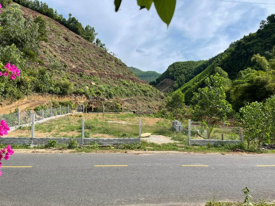 Lô đất trang trại ven chân núi Hoà Bắc, Đà Nẵng, chỉ vài trăm triệu