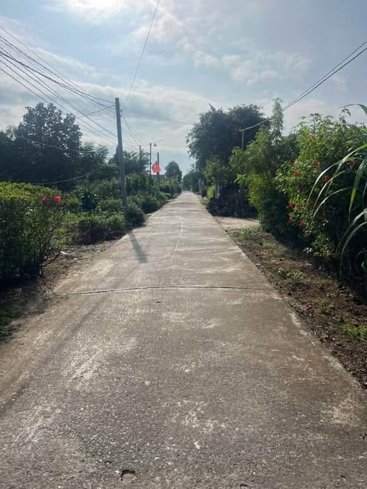 Đất Đồng Nai 110m2 full thổ, đường thông, giá chỉ 320 triệu