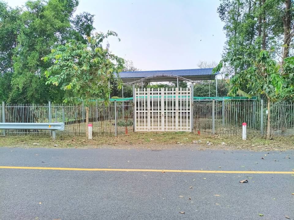 Đất vàng view sông Tân Triều, nơi an yên bình dị