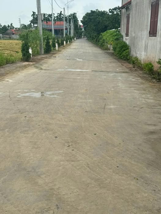 Đất đấu giá 172m2 mặt tiền 6m tại An Bài, Đồng Du, Bình Lục, Hà Nam