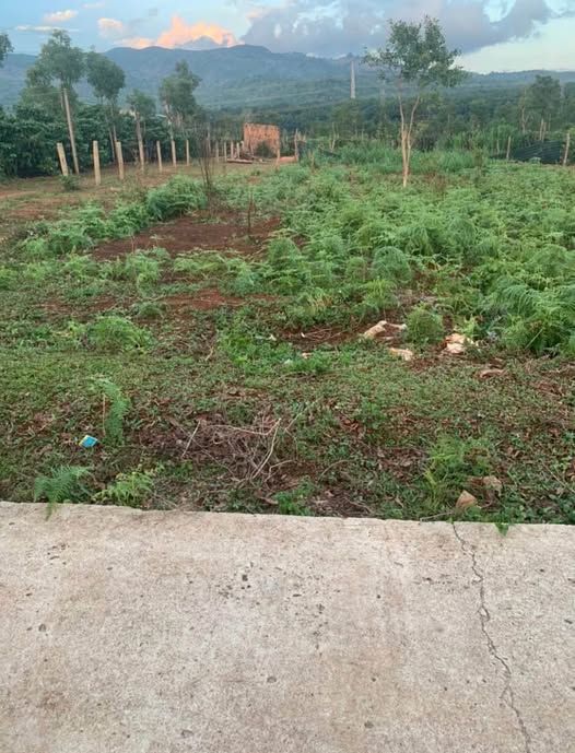 Bán đất 2 mặt tiền 21,5m x 50m tại Hòa Phú, Gia Lai, cơ hội đầu tư sinh lời