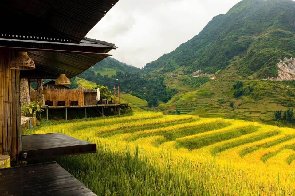 Bán đất 3,600m² view hồ thủy điện, ruộng bậc thang tại Tả Van, Sa Pa