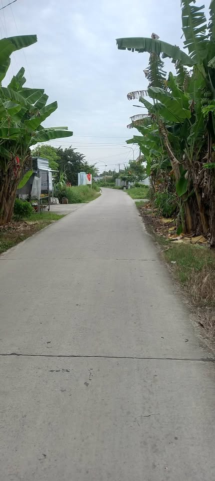 Bán đất mặt tiền đường Kênh Đòn, Thạnh Lộc, 1500m2, 15m ngang