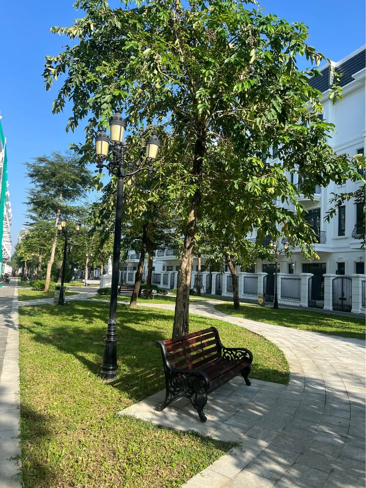 Bán gấp biệt thự hướng dương view sông, giá tốt nhất Thanh Hóa