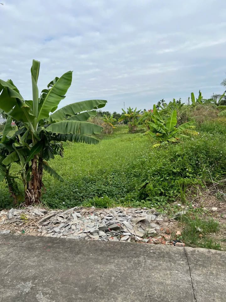 Đất vàng Tiểu Trà Hưng Đạo 65m2 mặt đường nhựa, sổ hồng riêng, giá 1,68 tỷ