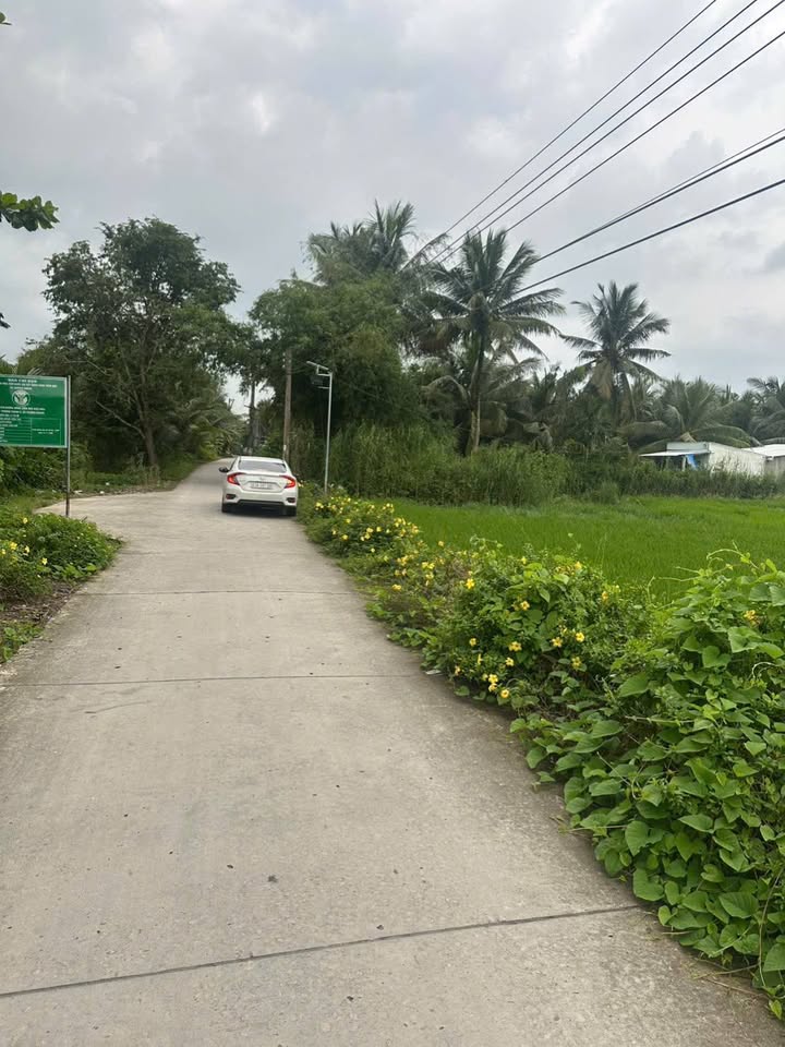 Bán đất ruộng mặt tiền tỉnh lộ 932, Sóc Trăng, diện tích khủng, giá hời