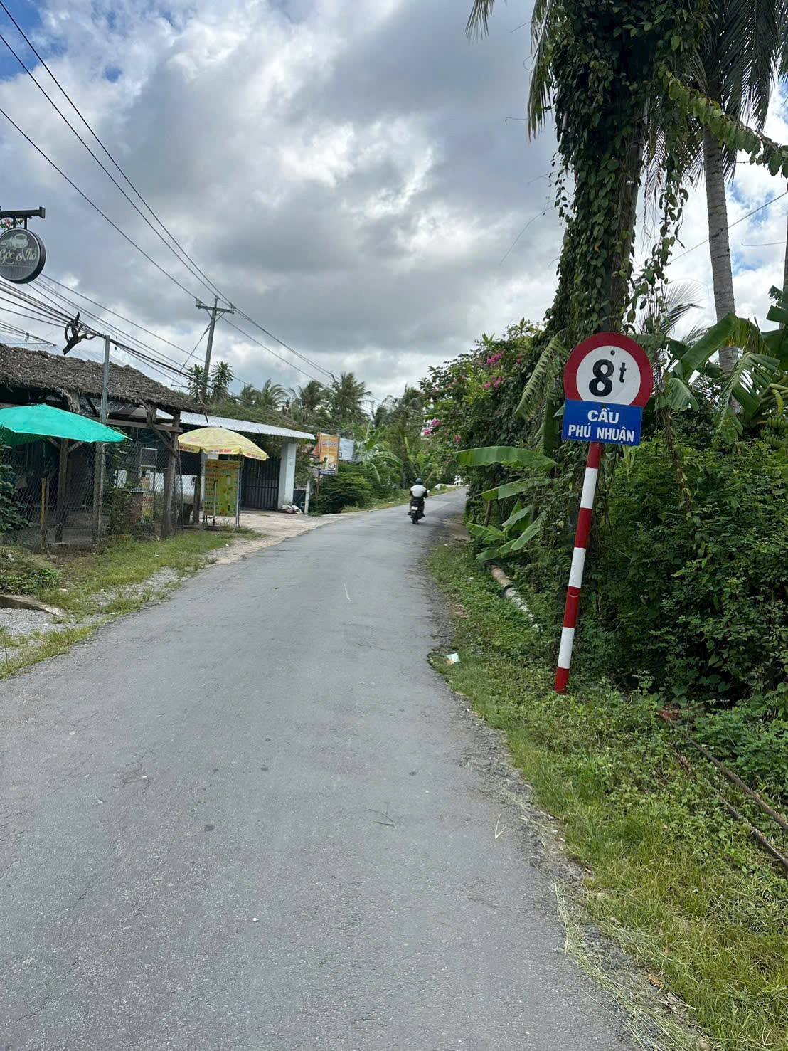 Bán đất mặt tiền đường liên xã Phú Nhuận - Nhơn Thạnh, Bến Tre - 531m2