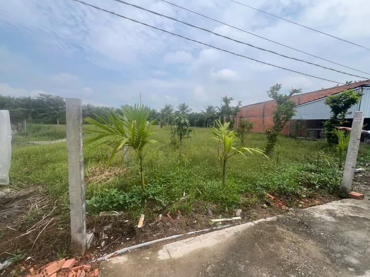 Đất thổ cư Tân Mỹ Chánh - Giá rẻ bất ngờ, chỉ 450 triệu