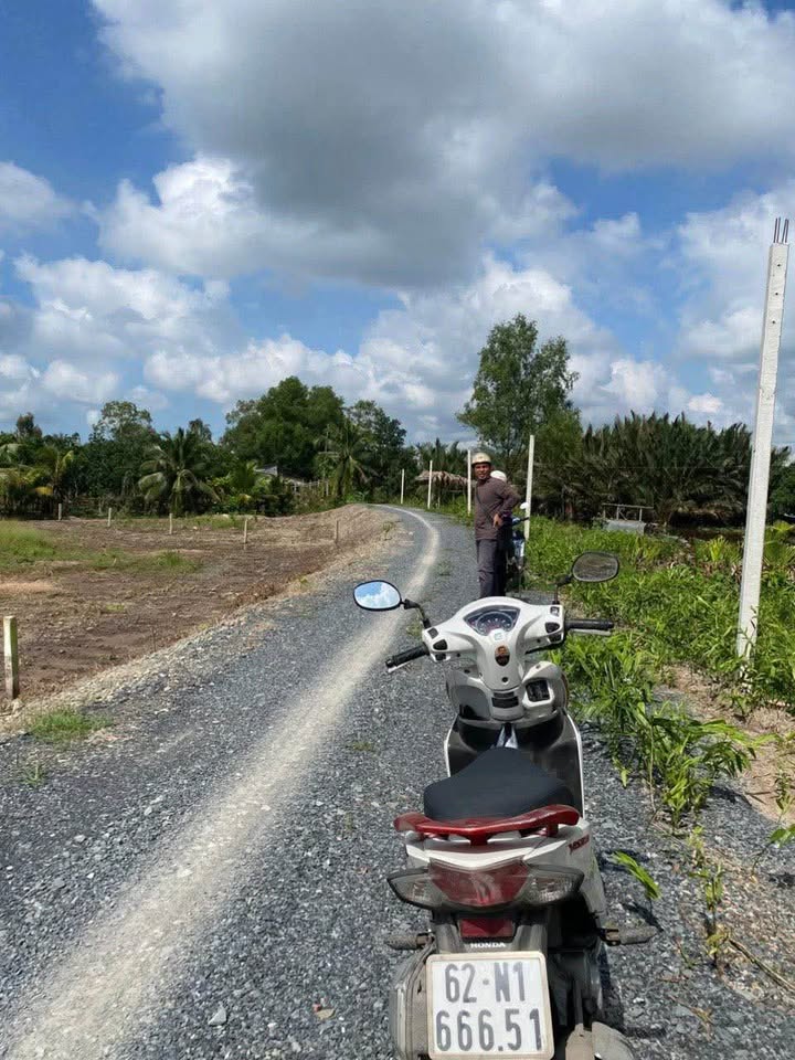 Đất vườn mặt tiền nhựa ĐT816, Bình Đức, Long An - Diện tích rộng, sổ hồng riêng