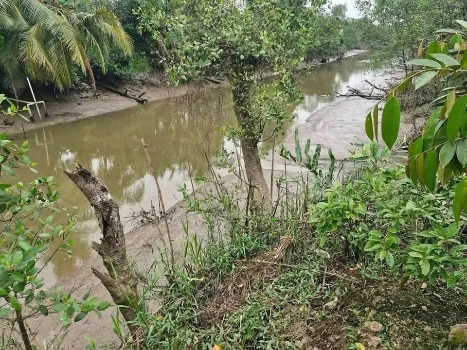 Đất nền Mỹ Hiệp, Cao Lãnh giá tốt, mặt tiền 15m, 240m² thổ cư