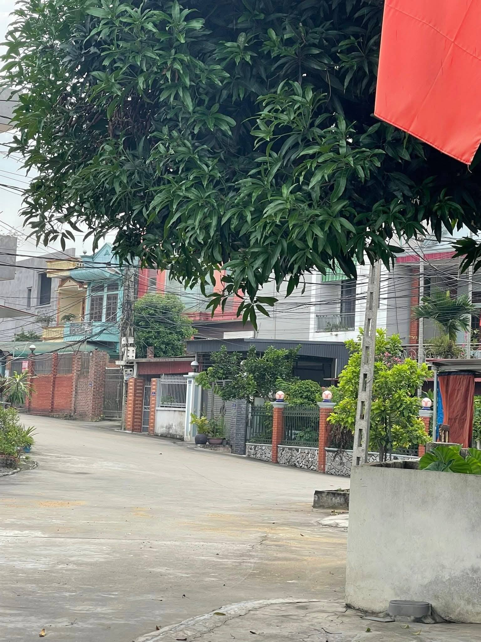 Đất vàng Điện Biên - 206m2 thổ cư, giá nhỉnh 1 tỷ - Chí Linh