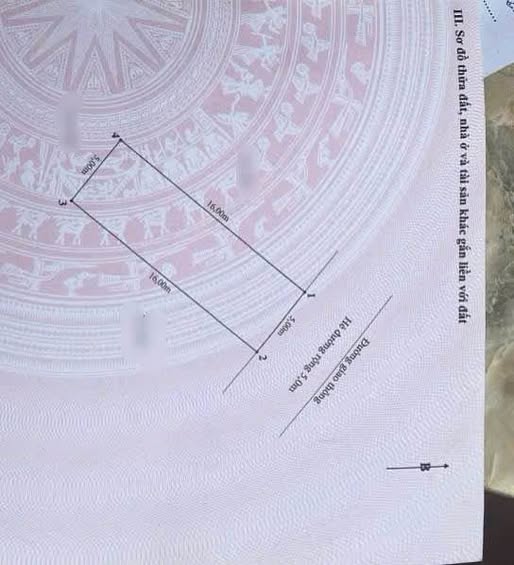 Siêu phẩm đất mặt đường 30m tại khu tái định cư A51 Hồ Sen, Quận Hải An, Hải Phòng đã chính thức lên sàn