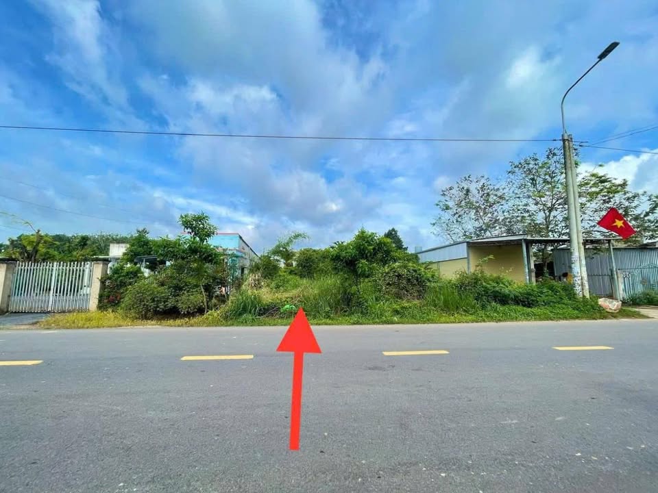 Bất ngờ đất vàng Trảng Bom 953m² mặt tiền chính, giá hời 5 tỷ, sổ sẵn công chứng