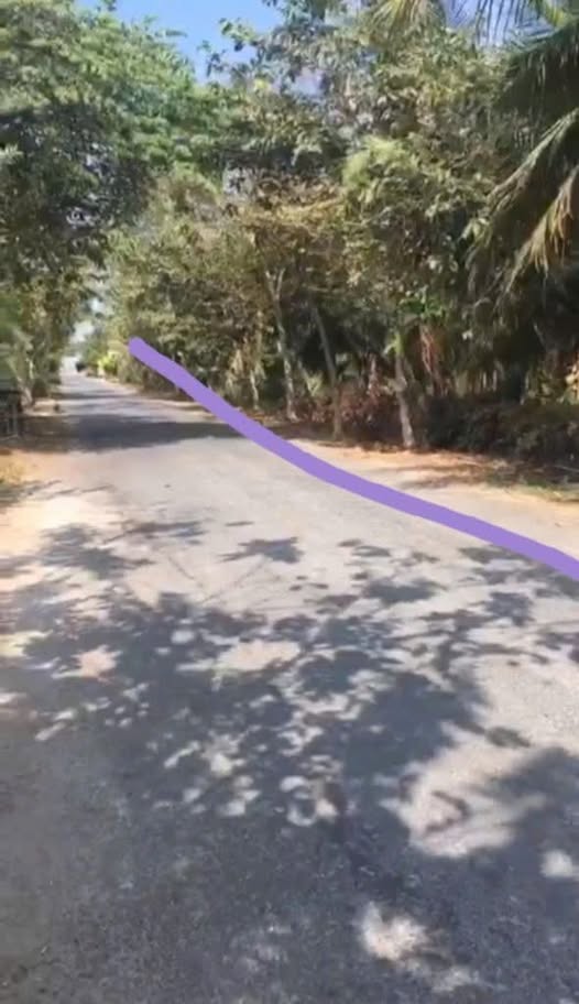 Đất mặt tiền 1300m2, trồng dừa thu nhập khủng, giá hời 2,3 triệu/m2