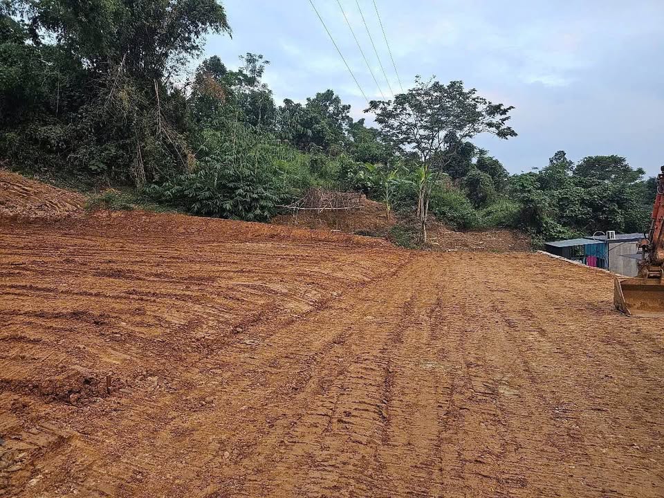 Đất 100m2 thổ cư, mặt tiền đường 6m rộng rãi, tiềm năng tăng giá tại Duyên Hải