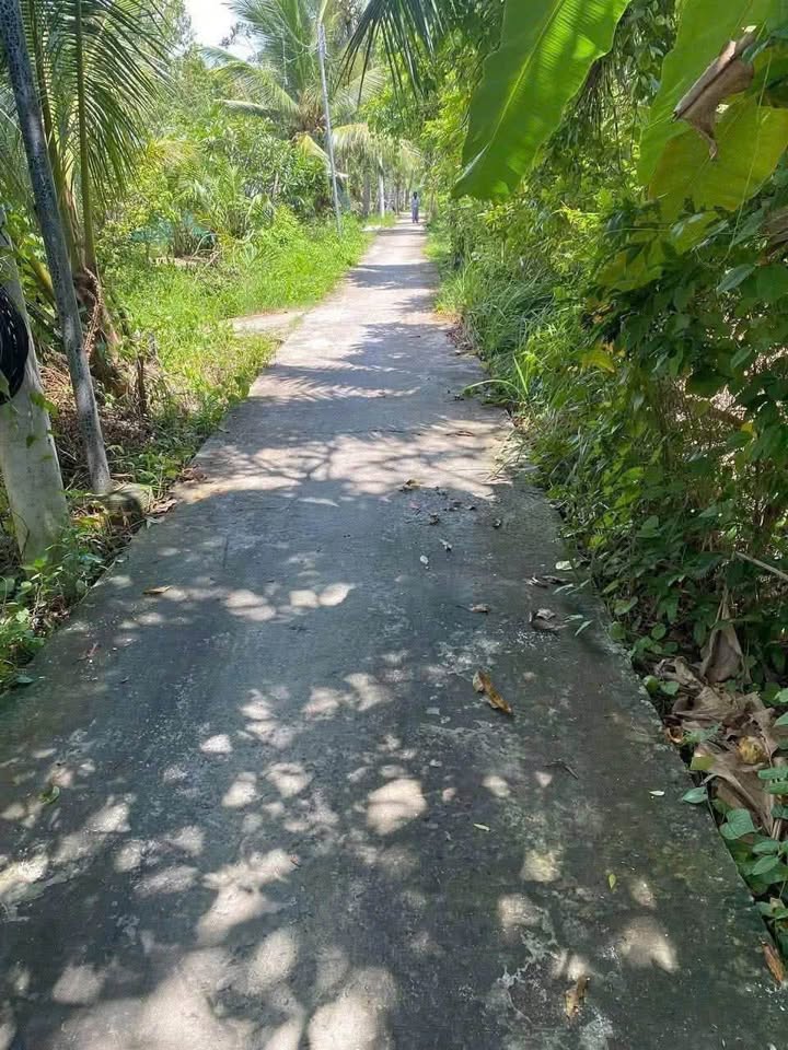 Đất 1000m2 nở hậu, giáp kênh, giá hời 2.6 tỷ, cần chủ mới