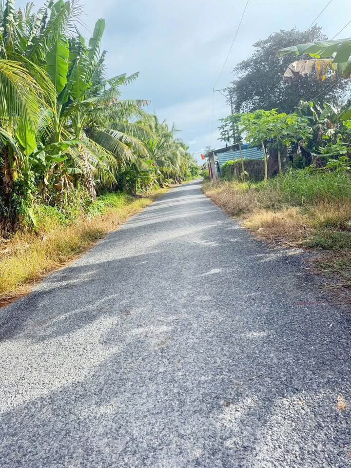 Bán đất 650m2 đường nhựa Phú Quới, Vĩnh Long thích hợp nghỉ dưỡng