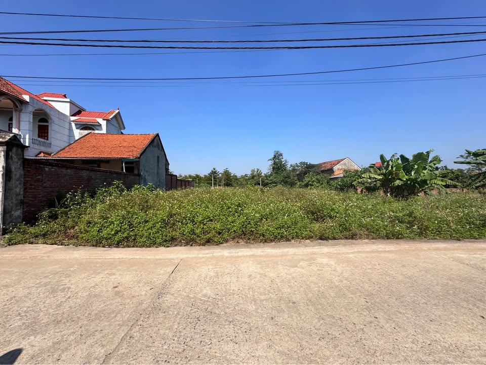 Đất vàng Hạ Bằng 660m2, tiềm năng phân lô đỉnh cao