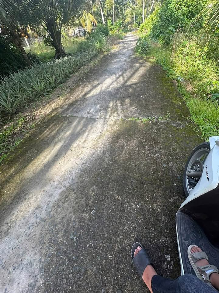 Đất Vị Thanh 6,5 công, giáp kênh, dân đông, giá hời