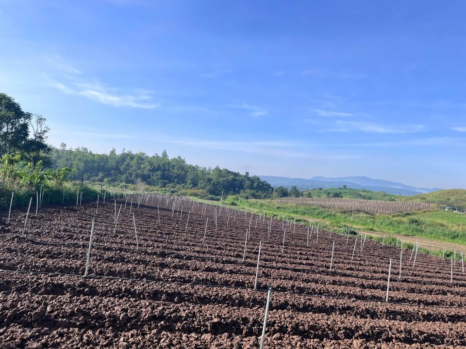 Đất xào Đức Trọng 12,000m² mặt tiền 200m giá 4,06 tỷ