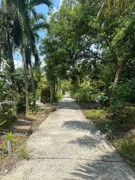 Bán đất 860m2 tại Phường Vị Thanh, Thành phố Cần Thơ, giá 480 triệu