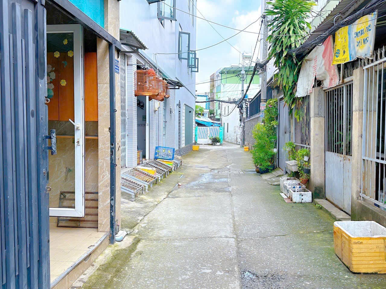 Cho thuê ngôi nhà nhỏ xinh, hẻm xe hơi, giá mềm tại Gò Vấp