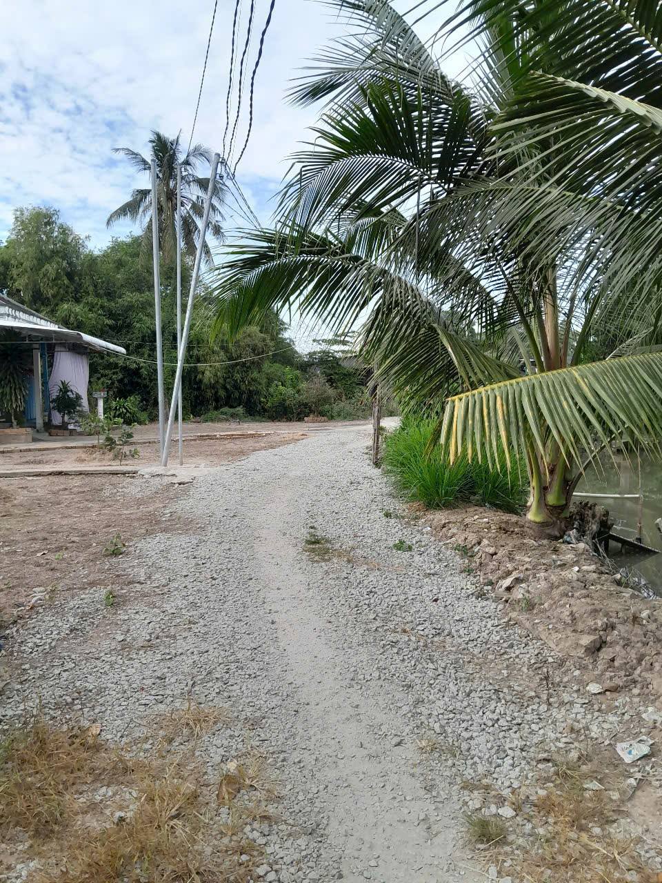 Đất Ngã Cại, ngang 6m x 32m, 600 triệu, sẵn sàng đón chủ mới