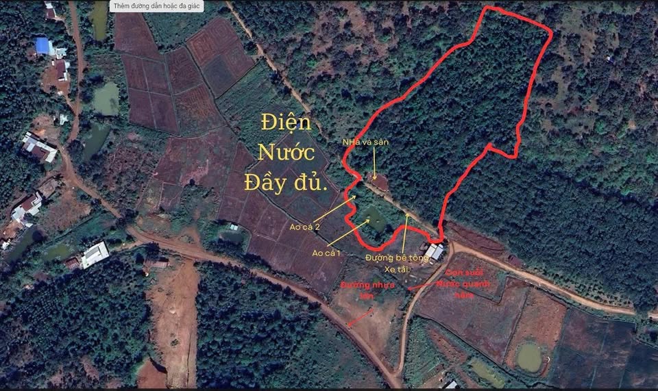 Bán đất 12.502m2 tại Xã Phú Văn, Bình Phước - Vị trí đắc địa, nguồn thu ổn định