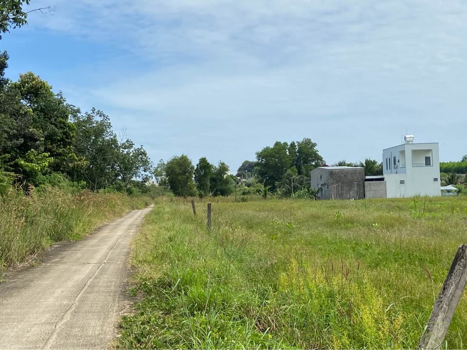 Bán gấp đất Xuyên Mộc, Bà Rịa - Vũng Tàu, diện tích 1100m2, giá 1 tỷ