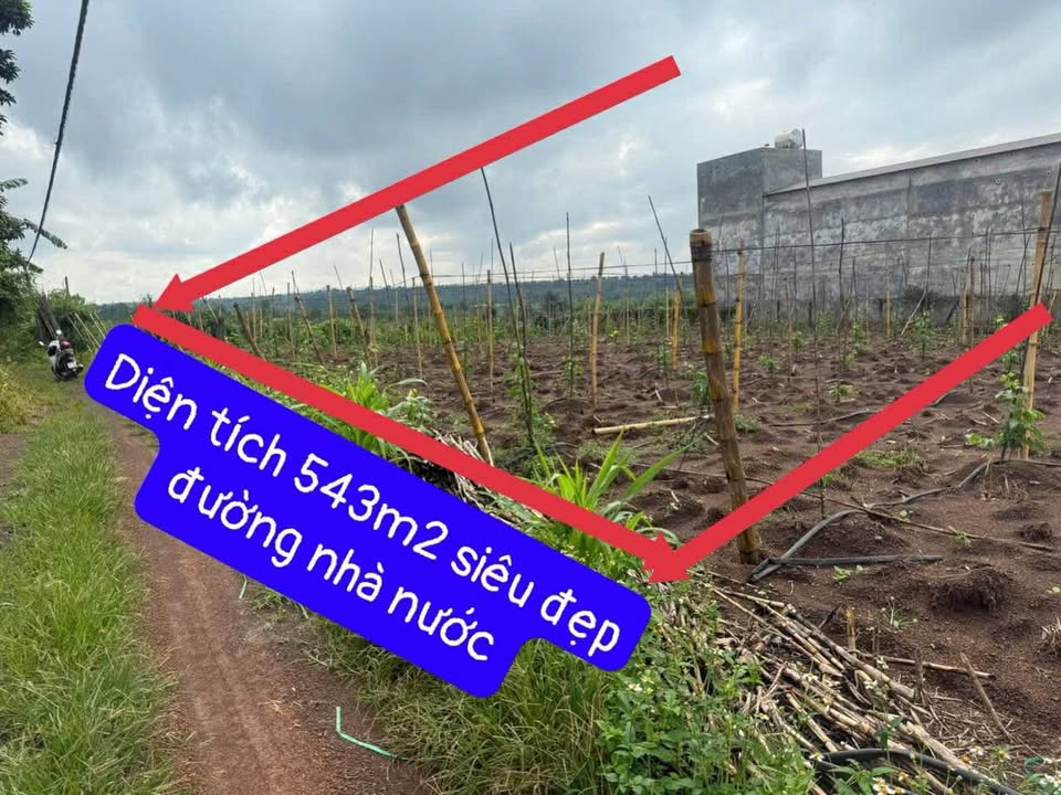 Cơ hội đổi đời chỉ với 290 triệu đồng! Lô đất 600m2 tại xã Ea Bar cũ, Đắk Lắk