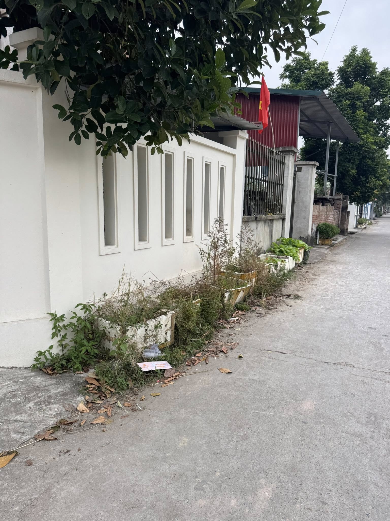 Bước chân vào trung tâm Ninh Xá, ngay cạnh cổng Khu công nghiệp Thuận Thành 1