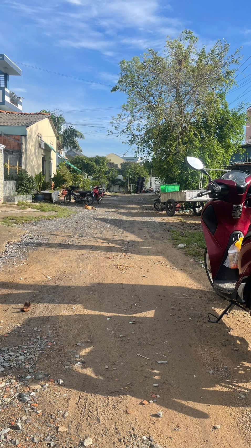 Đất Bến Lức giảm sốc 300 triệu, chỉ còn 1.99 tỷ, cơ hội sở hữu ngay